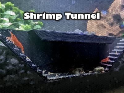 Túnel de acuario debajo de grava para camarones y peces Foto 1 de 3