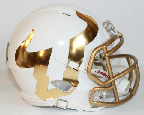 2019 USF South Florida Bulls Custom Riddell Mini Helmet vs Memphis Cover
