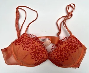 NWT VICTORIA'S SECRET VINTAGE Embroidered Bra 36B Stunning Detail Ruffled Straps - Picture 1 of 5