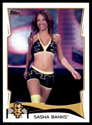 2014 Topps WWE #17 Sasha Banks NXT Prospects Foto 1 de 2
