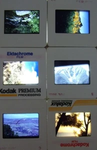 Lot of 6 Original Vintage 35mm Kodak Photo Color Slides Nature Kodachrome - Picture 1 of 10