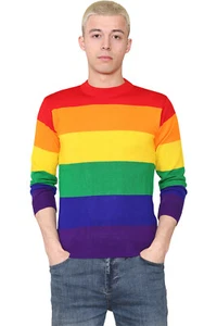 Rainbow Striped Multicolour Sweatshirt Jumper Top For Adults Unisex Gay Pride Do - Picture 1 of 5