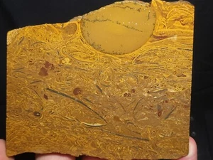 Coquina Jasper rough slab 4.5"x4"x1/4" (7.6 oz.) - Picture 1 of 4