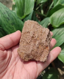 46Gr Natural Rough Petrified Wood Covered by Shimmery Drusy Quartz - Picture 1 of 4