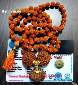 10 MUKHI RUDRAKSH TEN FACE RUDRAKSHA JAVA BEAD IN 5 MUKHI BEADS MALA ~CERTIFIED - Picture 1 of 2