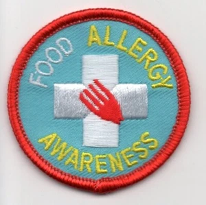 FOOD ALLERGY AWARENESS Iron On Patch - Picture 1 of 1