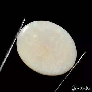 15,70 kt natürlicher australischer Opal riesiger ovaler Cabochon lose unbehandelt Edelstein - Bild 1 von 7