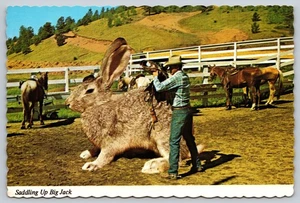 Postcard Exaggeration Saddling Up Big Jack Jackrabbitt Cowboy Horses c1982 Humor - Imagen 1 de 2