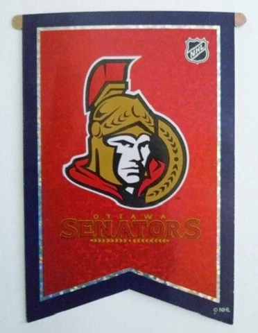 NHL Various Banner Flag 3" x 4" Stickers Cover