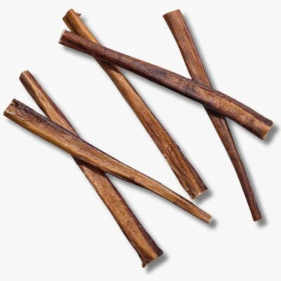 12" Jumbo Bully Sticks for Dogs 10 Pack Extra Thick Natural Odor-Free Treats - Image 1 of 2