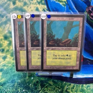 MTG Land Beta Forest Set of 3 Collectible Used - Picture 1 of 7