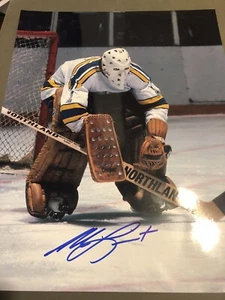 St. Louis BLUES Mike LIUT #1 FOCUSES On The PLAY SIGNED Custom 11X14 Holo & COA - Picture 1 of 2