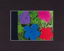 8X10" Matted Print Art Picture Andy Warhol: Myths, Flowers, 1964