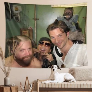 Hangover Tapestry Funny Meme Tapestries - Picture 1 of 6