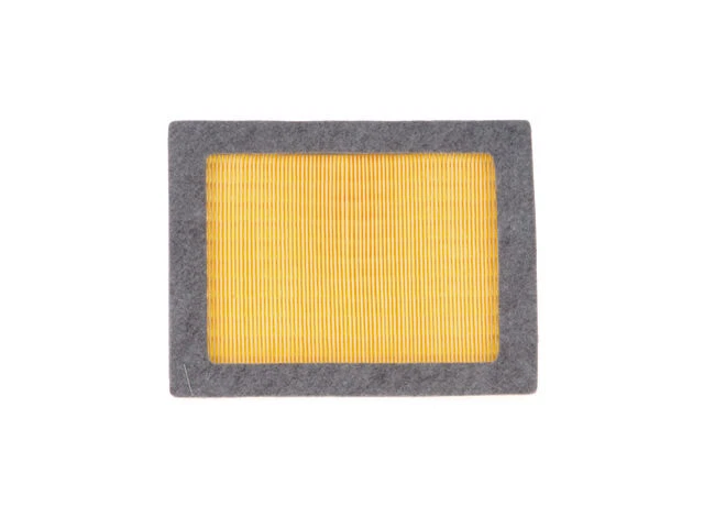 Filtro de aire Pronto para Ford F250 Super Duty 2005-2007 5,4 L V8 82TCMW Foto 1 de 1