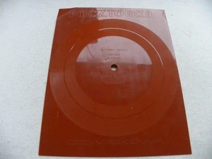 DANYEL GERARD butterfly MEDICINE HEAD pictures in the sky RARE POLISH FLEXI #5 - Picture 1 of 2