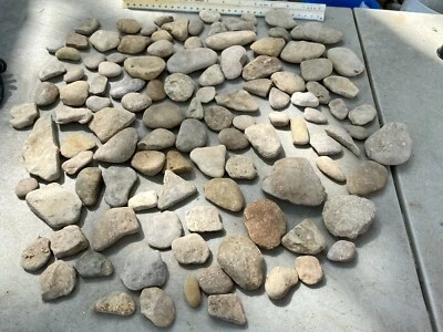 Acuario-terrario decorativo plano natural TX Creek 6 libras rocas encontradas roca plana Foto 1 de 4