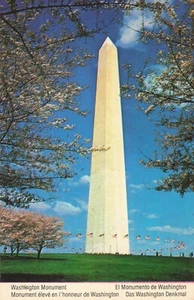 Washington Monument Cherry Blossom Trees Washington DC Vintage Postcard  - Picture 1 of 2