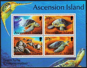 Ascension S/S Green Turtle 1994 MNH-20 Euro - Picture 1 of 1