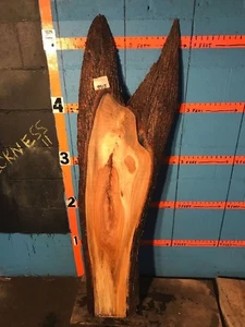 #9913 1 9/16" THICK spalted hickory Live Edge Slab lumber end table - Picture 1 of 4