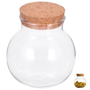 Jarro de vidrio grande frasco de vidrio transparente con tapa de corcho almacenamiento de cocina - Imagen 1 de 12