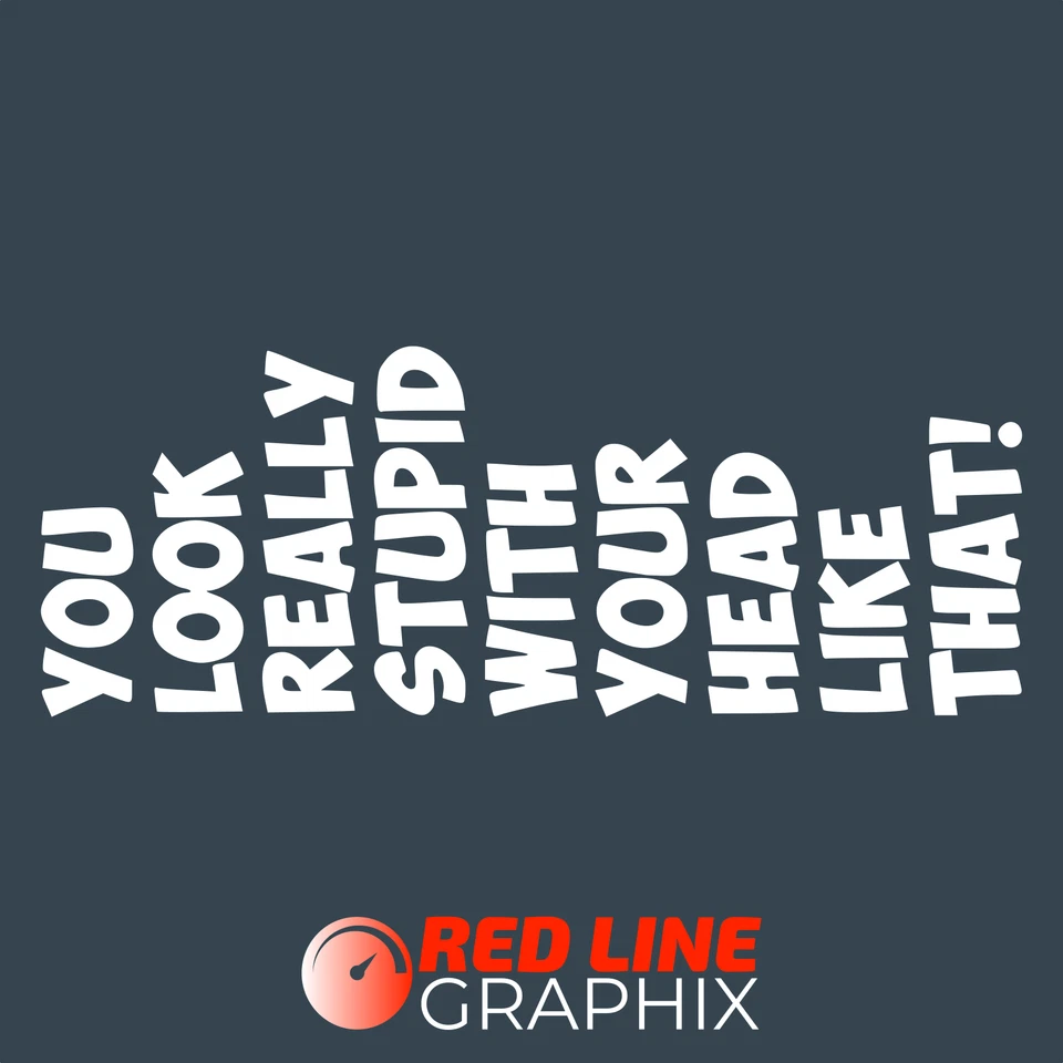 You Look Really Stupid With Your Head Like That Funny Car Vinyl Decal Sticker - Image 1 of 1