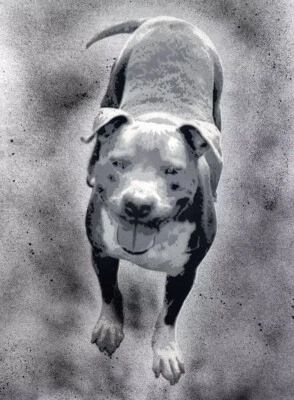 SAGE 原版 PIT BULL 绘画 1/1 木 Kaws banksy 服从至高无上的城市艺术 — 第 1/3 张图片