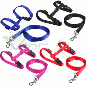 Leash + Nylon Chest Harness Necklace Belt Walking Cat Cats - Picture 1 of 5