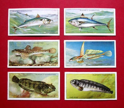 PLAYERS  6 SCARCE  1935 VINTAGE CIGARETTE CARDS   SEA FISHES   32-33-34-35-36-37 - Image 1 of 2