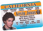 Kevin Jonas les Jonas Brothers Bros nouveauté carte d'identité collectionneur permis de conduire 
