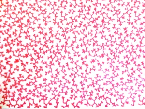 VINTAGE COTTON PINK ALL OVER VINES ON WHITE BACKGROUND 4 YDS X 44" QUILT NEW - Picture 1 of 2