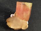  Perfect Natural Pink Color Tourmaline Terminated Crystal With Quartz 17gm @Afgh
