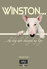 Winston . . . the dog who changed my life. by Hilmar Klute Hardback Book The