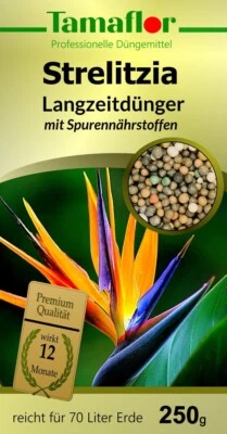TAMAFLOR Dünger- Strelitzien Paradiesvogelblume Pflanzen Dauerdünger wirkt 12 Monate