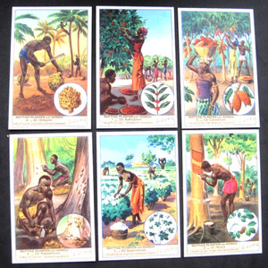 LIEBIG - S1434   F1433 - USEFUL PLANTS OF THE CONGO - SET OF 6 - 1941 - VG
