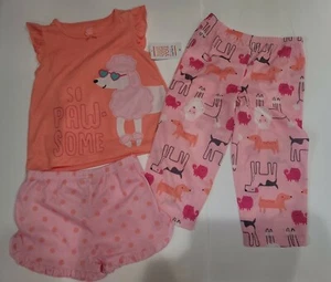 Carter's Girls Toddler girls SZ 3T 3 Piece Poodle Dog Animal Pajama Set PJs (P) - Picture 1 of 1