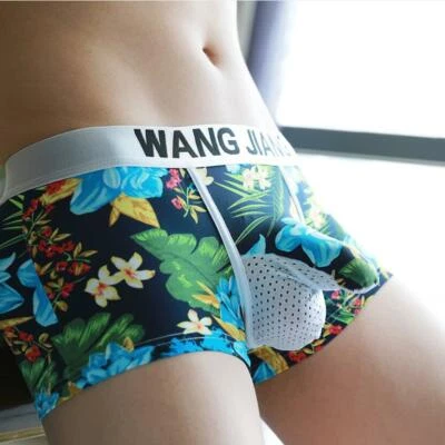 WJ Men Sexy Elephant Mesh U Convex Pouch Underwear Nylon Breathable Boxer Briefs - Image 1 of 4