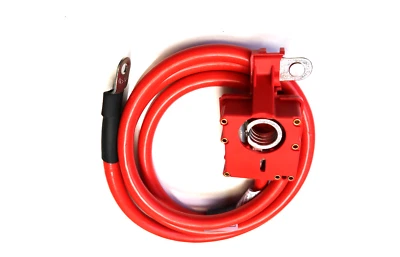 NEU BMW 5er E60 + E60 LCI Batteriekabel Plus SBK2 6989780 - Bild 1 von 3