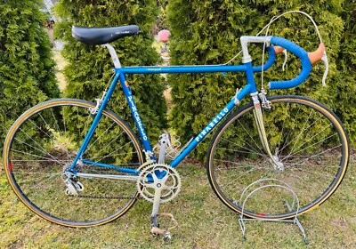 Pinarello Montello Team Bicycle "Veggerby" Campagnolo C Record - Bild 1 von 4
