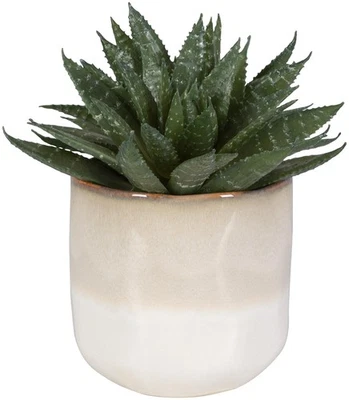 Maceta Uttermost 60213 Doha 10-1/2" de alto cerámica imitación flora - beige Foto 1 de 4