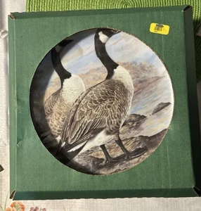 Wasservögel der Welt Canada Goose Sammelteller 9" Franklin Porzellan 1981 - Bild 1 von 2