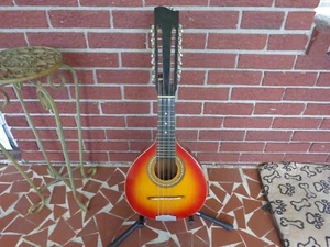 Vintage 12 String Mandolin - Mandriola / Trichord - Picture 1 of 14