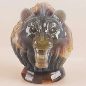 3.6" Natural Geode Agate Quartz Crystal Hand Carved Lion Head Animal 481g - Imagen 1 de 8