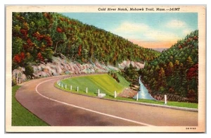 Albero Cold River Notch Mohawk Trail Massachusetts Highway colori autunnali - Foto 1 di 2