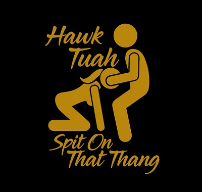 Hawk Tuah Spit On That Thang . Die Cut Vinyl Decal Sticker Funny Car Truck JDM - Image 1 of 4