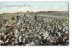 Postal antigua Cotton Field cerca de Oklahoma City, OK Farming de la década de 1910 - Imagen 1 de 2