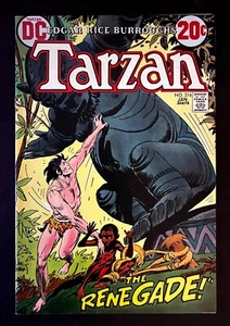 Tarzan #216 Joe Kubert Cover & Art Edgar Rice Burroughs DC Comics 1973 - Picture 1 of 2