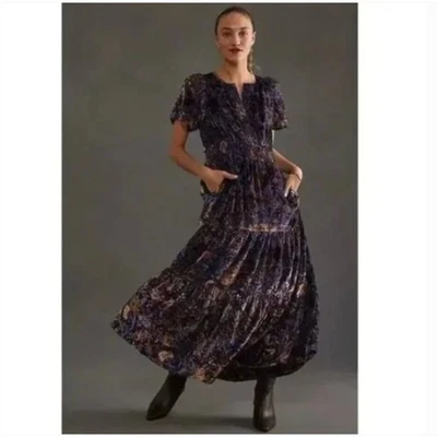 Anthropologie Velvet Burnout Maxi Dress SMALL Boho Whimsigoth Dark Cottagecore - Image 1 of 4
