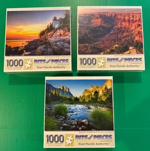 3 pezzi puzzle 1000 pezzi Acadia Grand Canyon Yosemite par nazionale - Foto 1 di 10