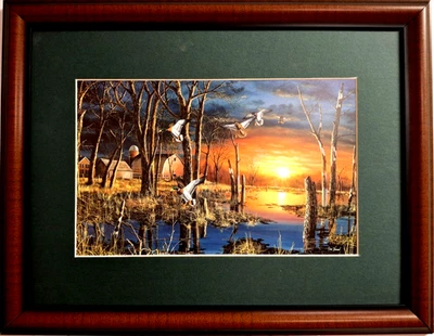 FOTO PATO ÁNADE REAL AVES ACUÁTICAS OTOÑO VISITA GRANERO JIM HANSEL ENMARAÑADO 16X12 Foto 1 de 3